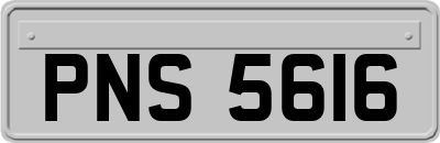 PNS5616