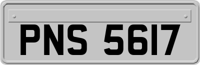 PNS5617