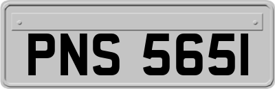 PNS5651