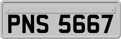 PNS5667
