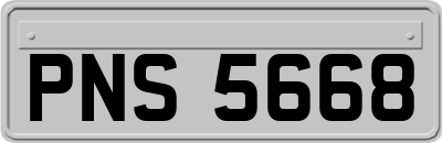PNS5668