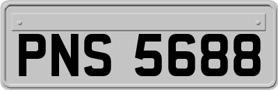 PNS5688