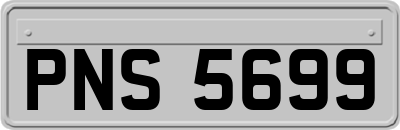 PNS5699
