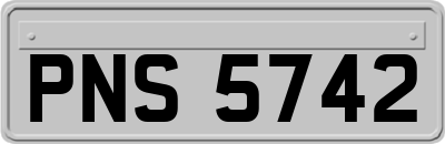 PNS5742