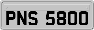 PNS5800