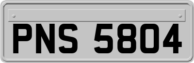 PNS5804