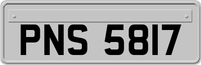 PNS5817