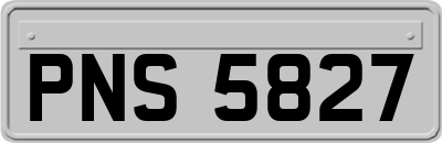 PNS5827