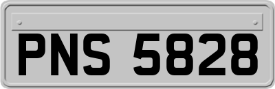 PNS5828
