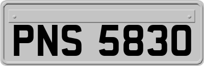 PNS5830