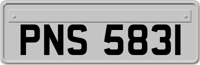 PNS5831