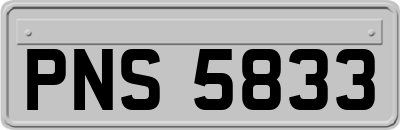 PNS5833