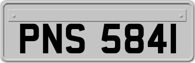 PNS5841
