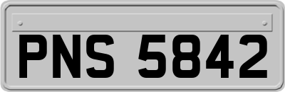 PNS5842