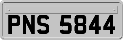 PNS5844