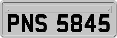 PNS5845