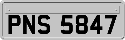 PNS5847