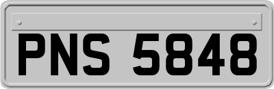 PNS5848
