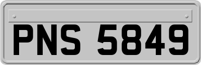 PNS5849