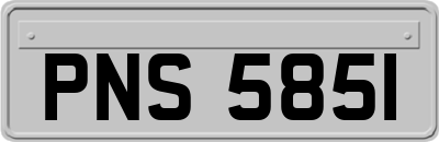 PNS5851