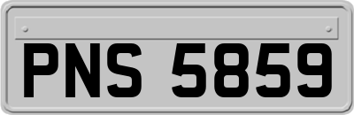 PNS5859