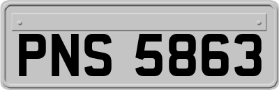 PNS5863