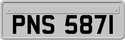 PNS5871