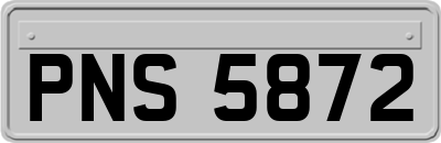 PNS5872
