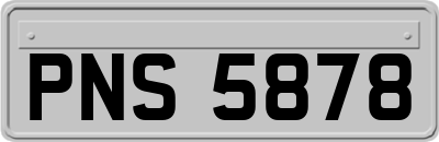 PNS5878