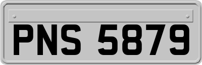 PNS5879