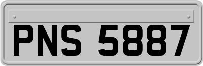 PNS5887