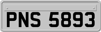 PNS5893