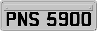 PNS5900