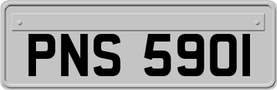 PNS5901