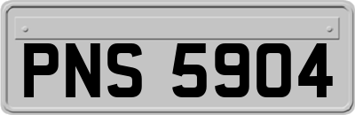 PNS5904