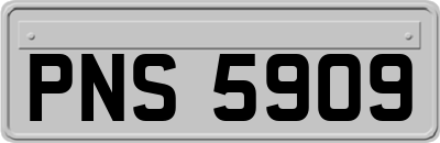PNS5909