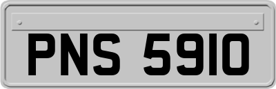 PNS5910