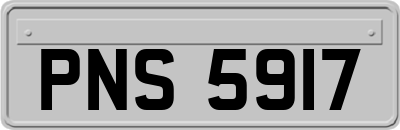 PNS5917