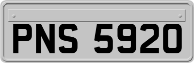 PNS5920
