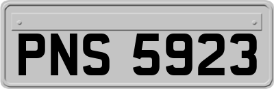 PNS5923
