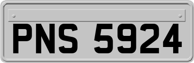 PNS5924