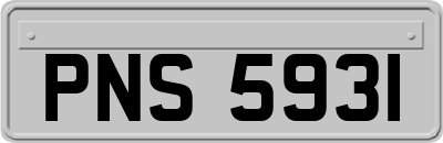 PNS5931