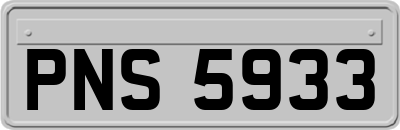 PNS5933