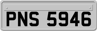 PNS5946