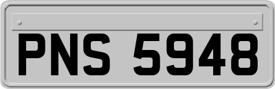 PNS5948