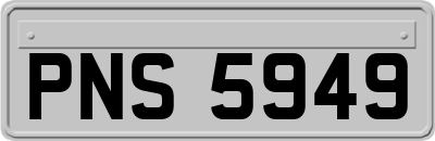 PNS5949