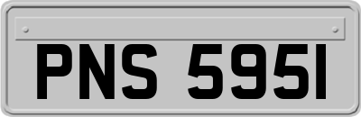 PNS5951