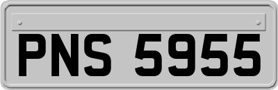 PNS5955