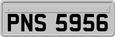 PNS5956