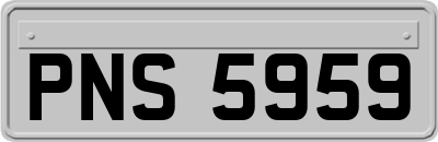PNS5959